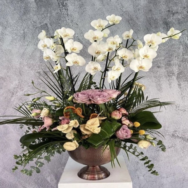 Text